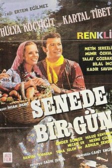 Senede Bir Gün (1971) afişi