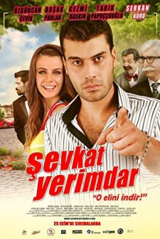 Şevkat Yerimdar (2013) afişi