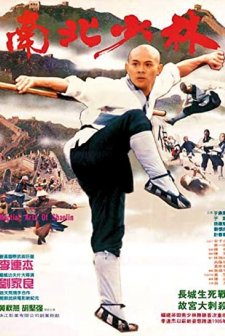 Shaolin Temple 3: Martial Arts Of Shaolin (1986) afişi