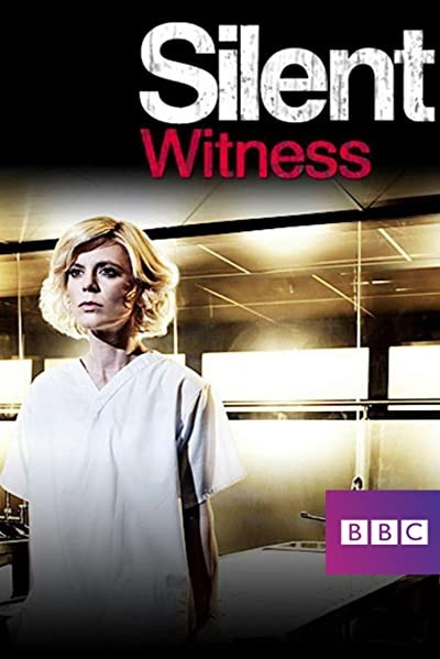 Silent Witness (1996) afişi Silent Witness (1996) afişi
