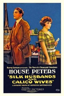 Silk Husbands And Calico Wives (1920) afişi