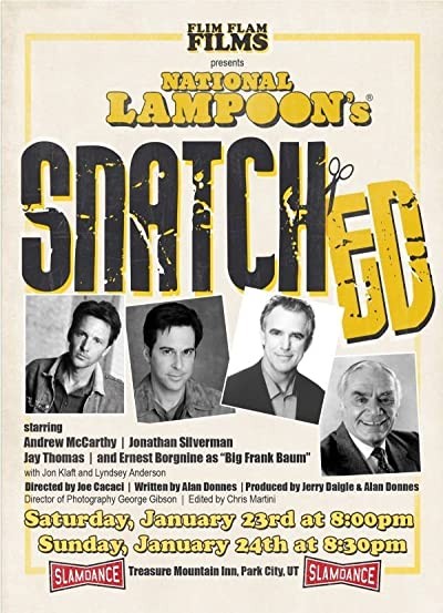 Snatched (2011) afişi Snatched (2011) afişi