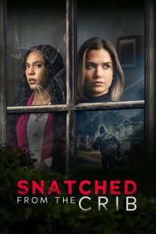 Snatched from the Crib (2025) afişi