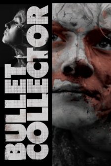 Sobiratel pul (2011) afişi