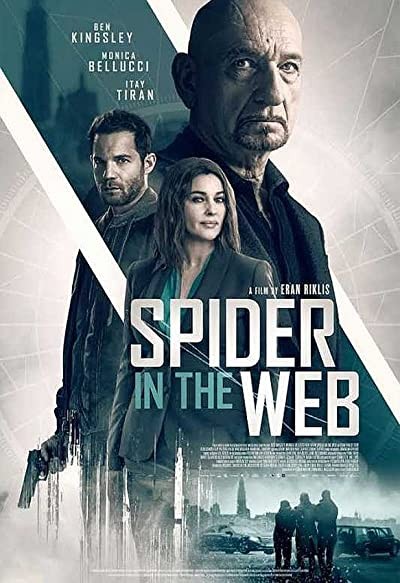 Spider in the Web (2019) afişi Spider in the Web (2019) afişi