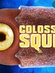 Squid ınvasion (2008) afişi