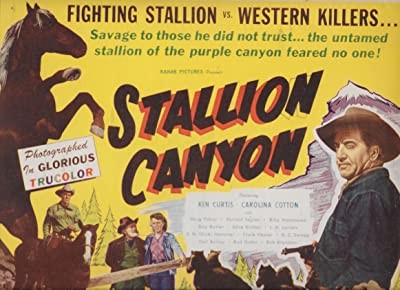 Stallion Canyon (1949) afişi Stallion Canyon (1949) afişi