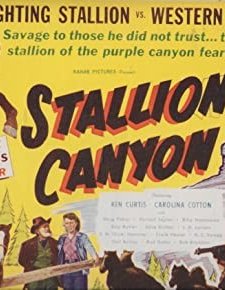 Stallion Canyon (1949) afişi