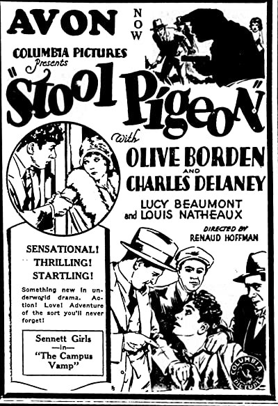 Stool Pigeon (1928) afişi Stool Pigeon (1928) afişi