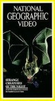 Strange Creatures Of The Night (1973) afişi Strange Creatures Of The Night (1973) afişi