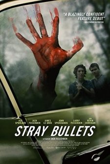 Stray Bullets (2016) afişi