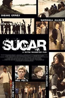 Sugar (2013) afişi