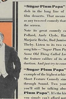 Sugar Plum Papa (1930) afişi