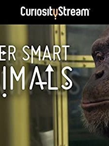 Super Smart Animals (2012) afişi