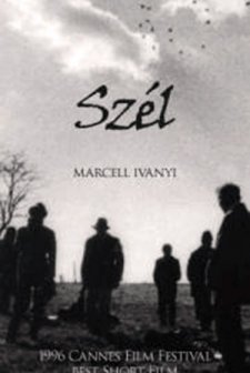 Szel (1996) afişi