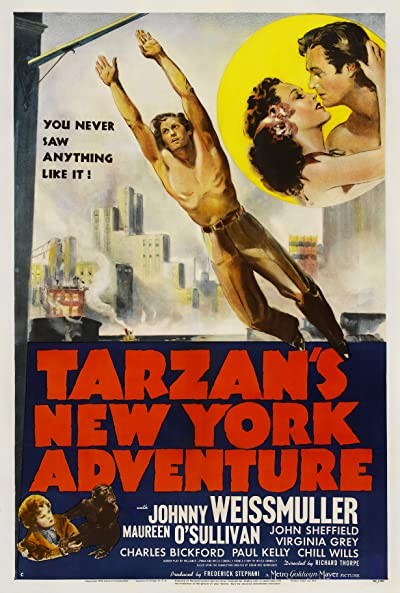 Tarzan's New York Adventure (1942) afişi Tarzan's New York Adventure (1942) afişi