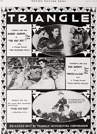 The Bad Boy (1917) afişi The Bad Boy (1917) afişi