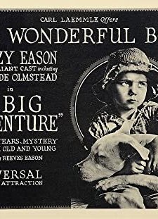 The Big Adventure (1921) afişi