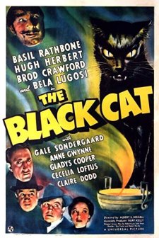 The Black Cat