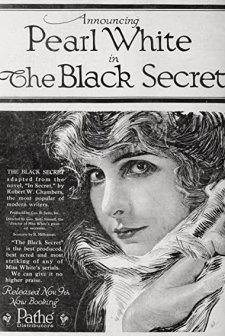 The Black Secret (1919) afişi