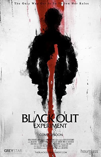 The Blackout Experiment (2021) afişi The Blackout Experiment (2021) afişi
