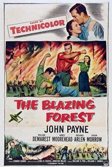 The Blazing Forest