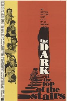 The Dark At The Top Of The Stairs (1960) afişi