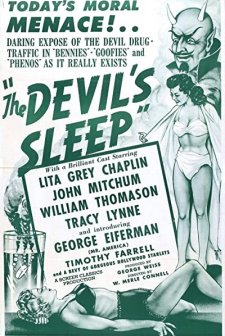 The Devil's Sleep (1949) afişi