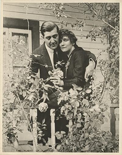 The Flight Of A Night Bird (1915) afişi The Flight Of A Night Bird (1915) afişi