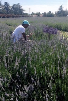 The Forfeiture Clause (2024) afişi