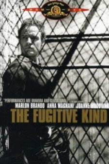 The Fugitive Kind (1959) afişi