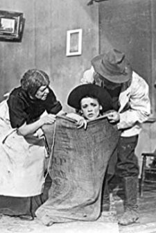 The Further Adventures Of The Girl Spy (1910) afişi