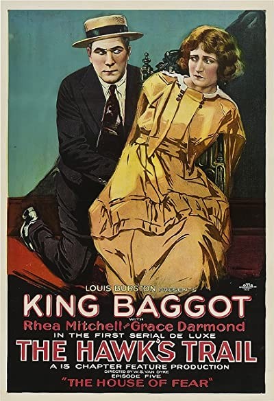The Hawk's Trail (1919) afişi The Hawk's Trail (1919) afişi
