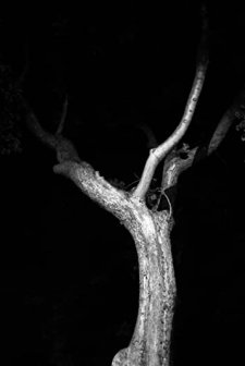 The Last Time I Saw Michael Gregg (2011) afişi