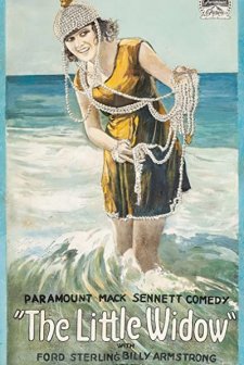 The Little Widow (1919) afişi