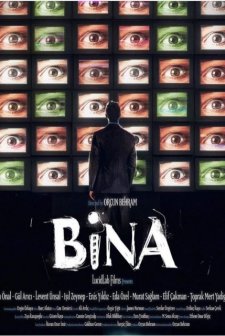 Bina