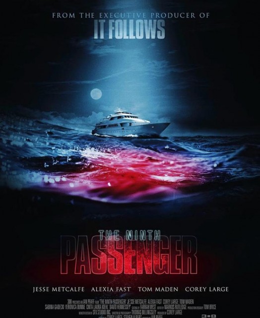 The Ninth Passenger (2016) afişi The Ninth Passenger (2016) afişi