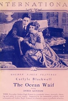 The Ocean Waif (1916) afişi