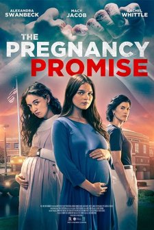 The Pregnancy Promise (2023) afişi