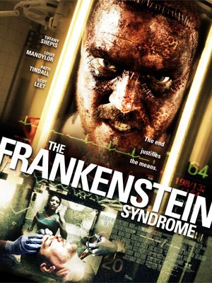The Prometheus Project (2010) afişi The Prometheus Project (2010) afişi