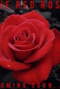 The Red Rose