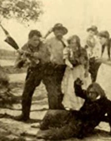 The Sage-brush Phrenologist (1911) afişi