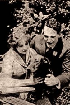 The Seal Of Silence (1913) afişi