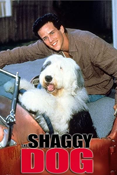 The Shaggy Dog!! (1994) afişi The Shaggy Dog!! (1994) afişi