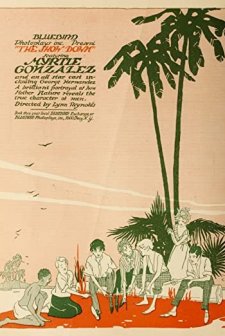 The Show Down (1917) afişi