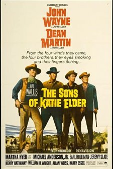 The Sons Of Katie Elder (1965) afişi