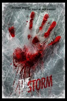The Storm (2013) afişi