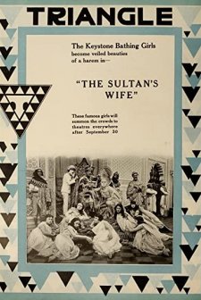 The Sultan's Wife (1917) afişi
