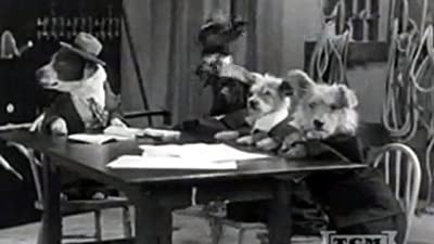 The Two Barks Brothers (1931) afişi The Two Barks Brothers (1931) afişi