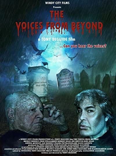 The Voices from Beyond (2012) afişi The Voices from Beyond (2012) afişi